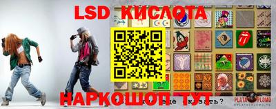 ешки Бийск