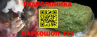 ешки Бийск