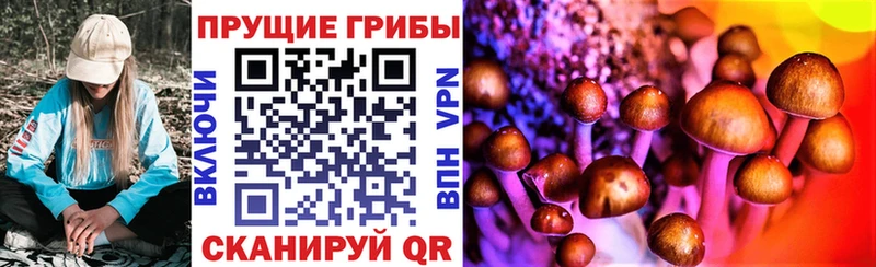 Галлюциногенные грибы Cubensis  Вичуга 