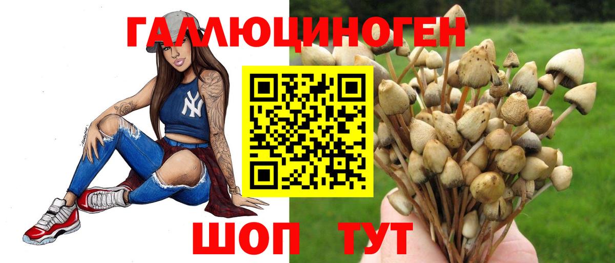 Вичуга  Псилоцибиновые грибы Cubensis  купить наркотики сайты  Вход с VPN  Псилоцибиновые грибы Cubensis 